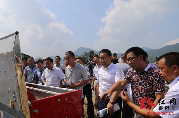 肖拥军(前排左二)到羊古坳镇超级稻实验攻关基地调研秋冬生产工作